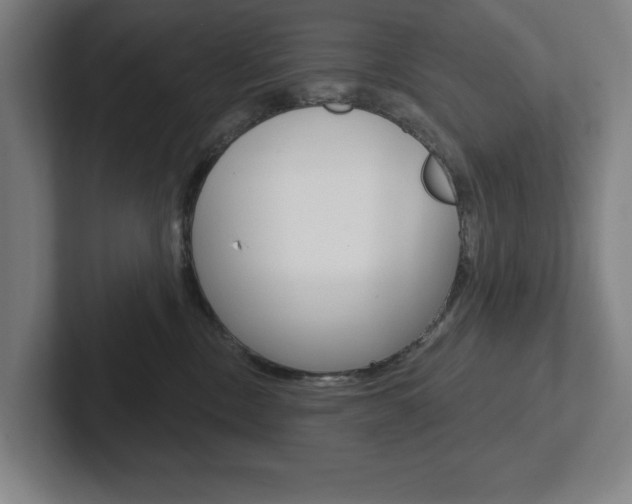 X0000102870378200808181050