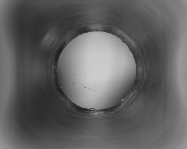 X0000102870379200808181050