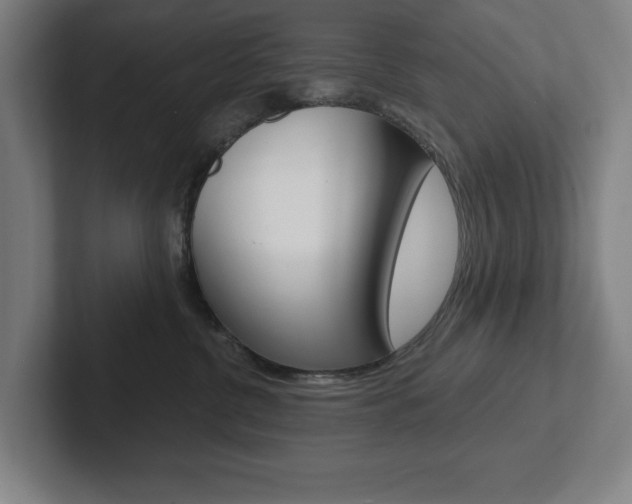 X0000102870380200808181050