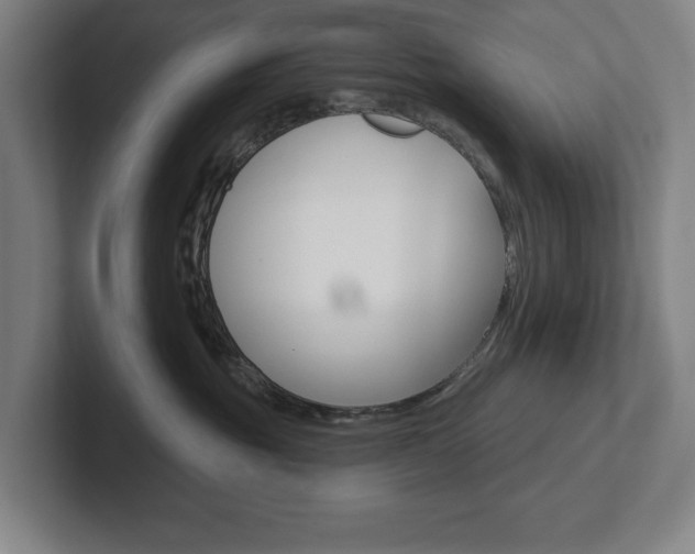 X0000102870381200808181050