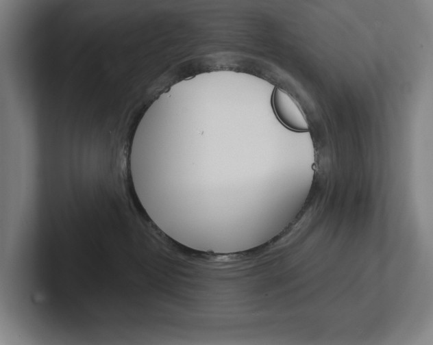 X0000102870382200808181050