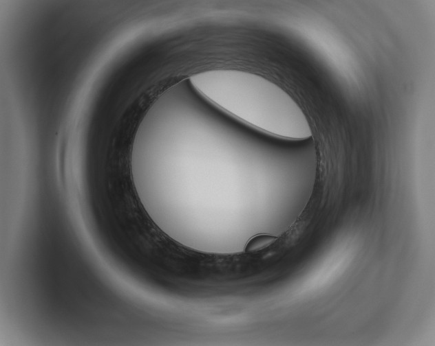 X0000102870383200808181050