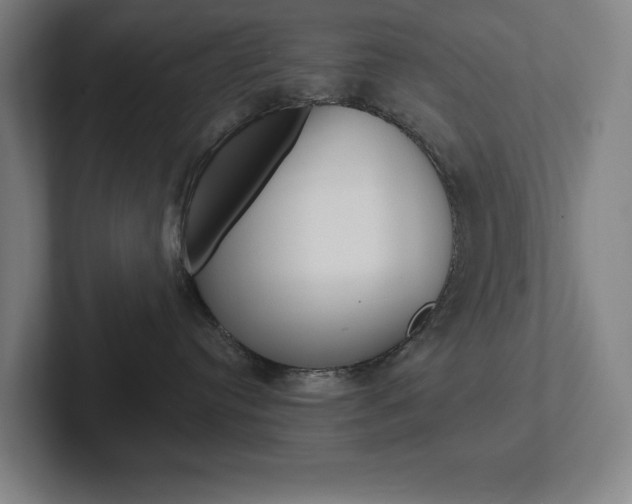 X0000102870384200808181050