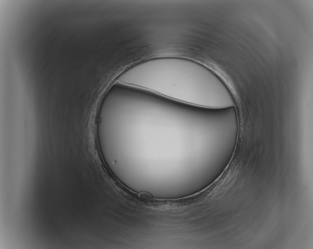X0000102870385200808181050