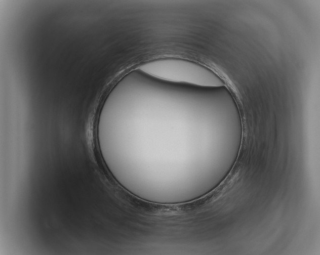 X0000102870386200808181050