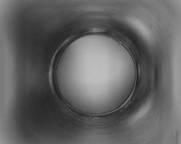 X0000102870387200808181050