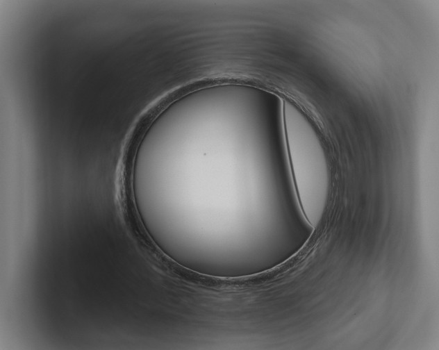 X0000102870388200808181050