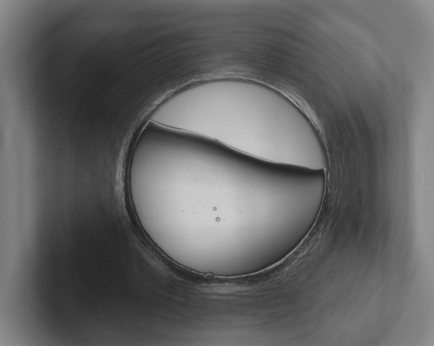 X0000102870389200808181050