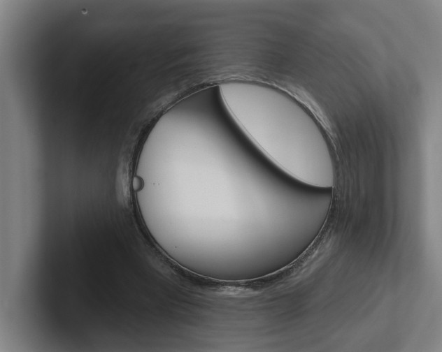 X0000102870393200808181050