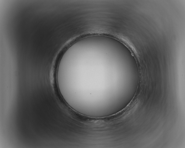 X0000102870395200808181050