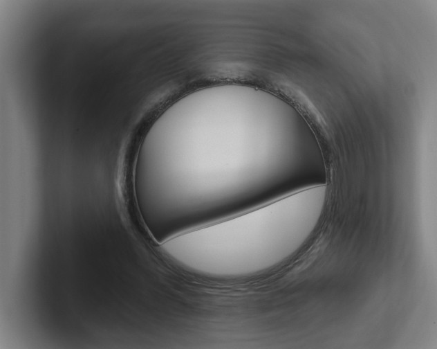 X0000102870396200808181050