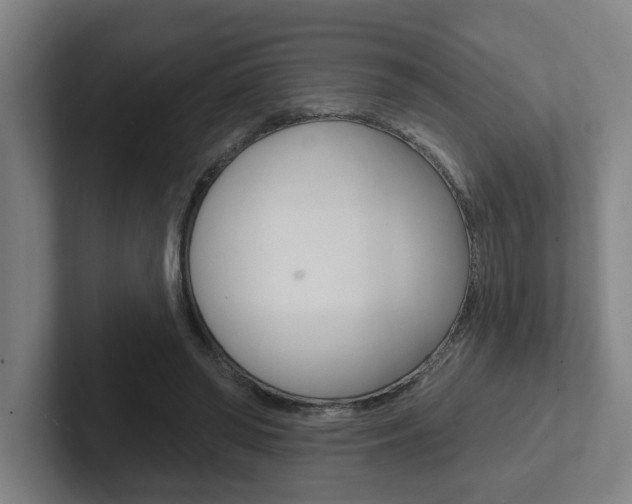 X0000102870398200808181050