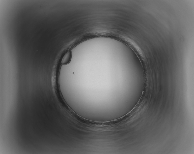 X0000102870399200808181050