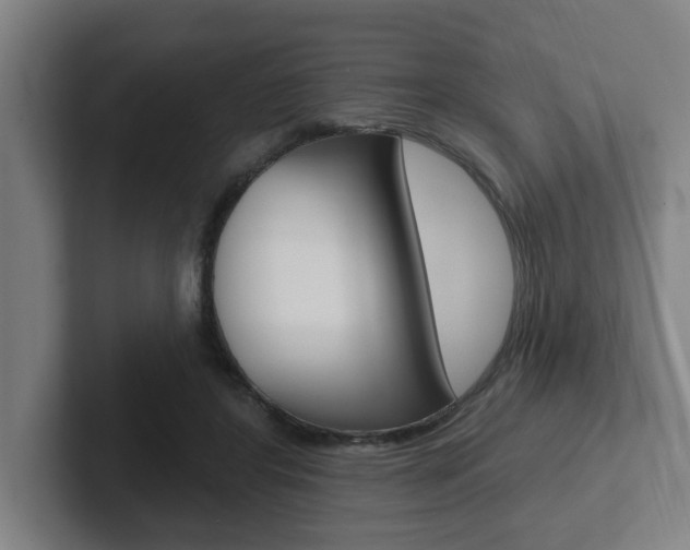 X0000102870404200808181050