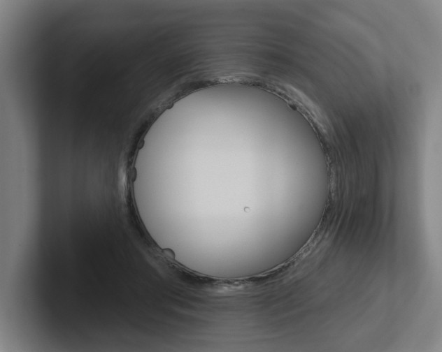 X0000102870405200808181050