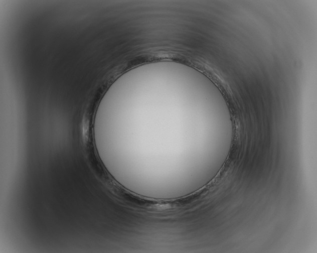 X0000102870406200808181050