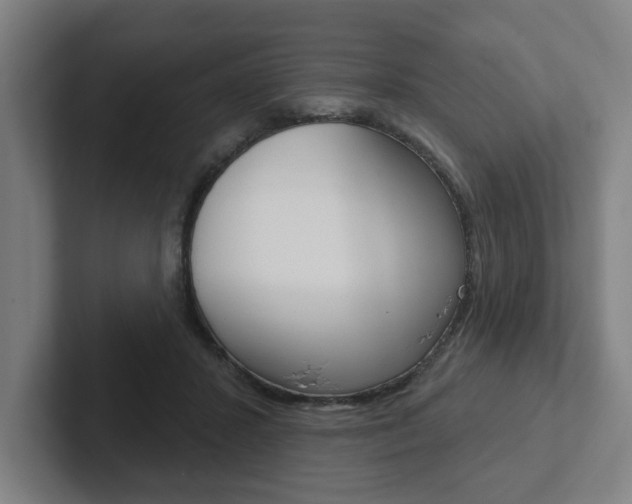 X0000102870407200808181049