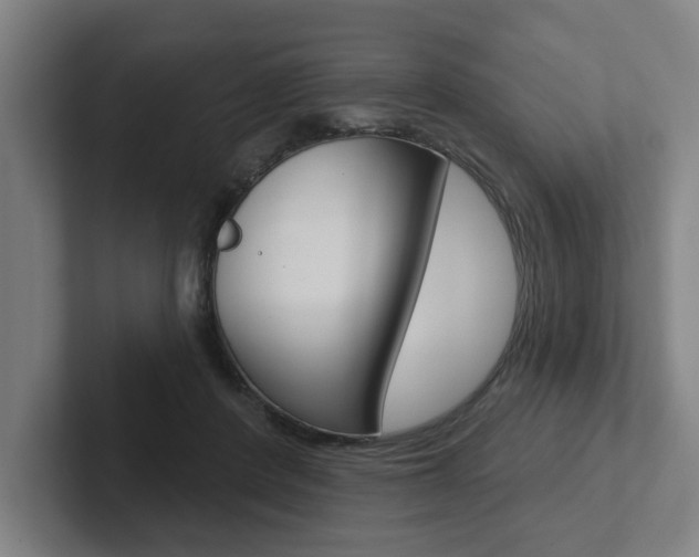 X0000102870408200808181049