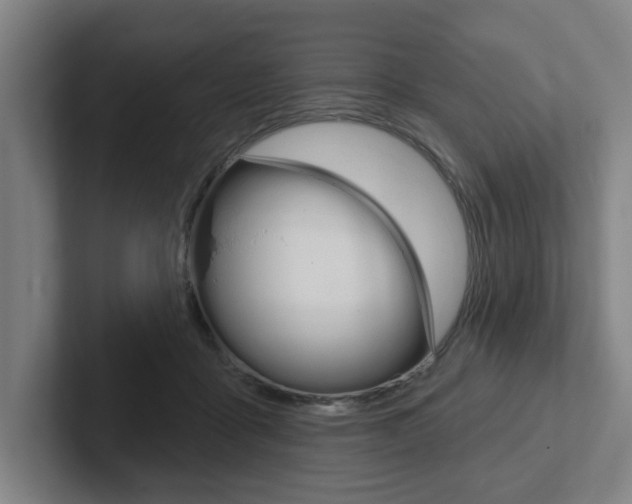 X0000102870411200808181049