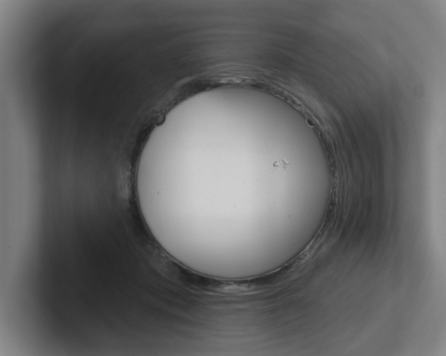 X0000102870413200808181049