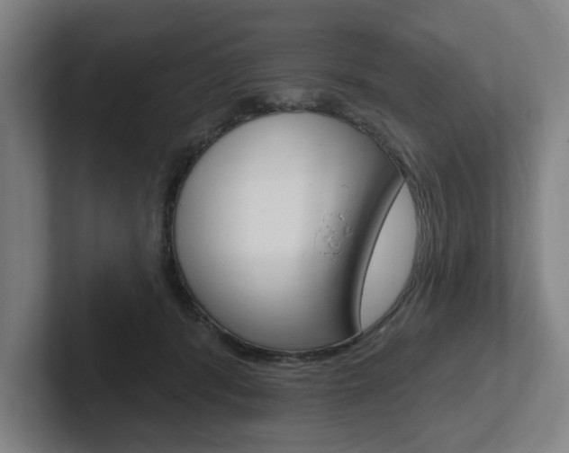 X0000102870416200808181049