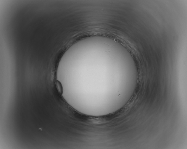 X0000102870417200808181049