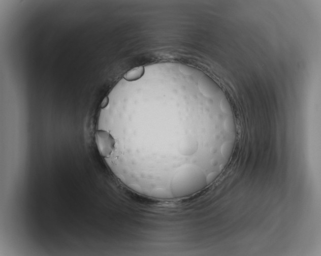 X0000102870418200808181049