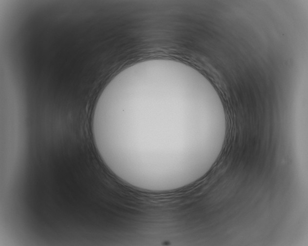 X0000102870419200808181049