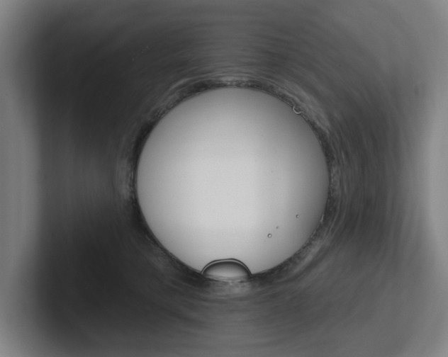 X0000102870421200808181049