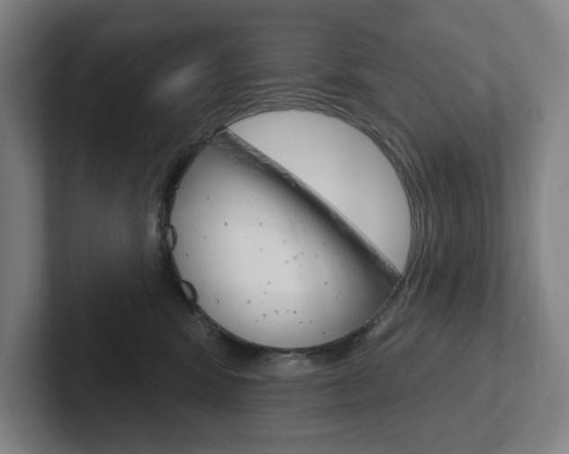 X0000102870424200808181049
