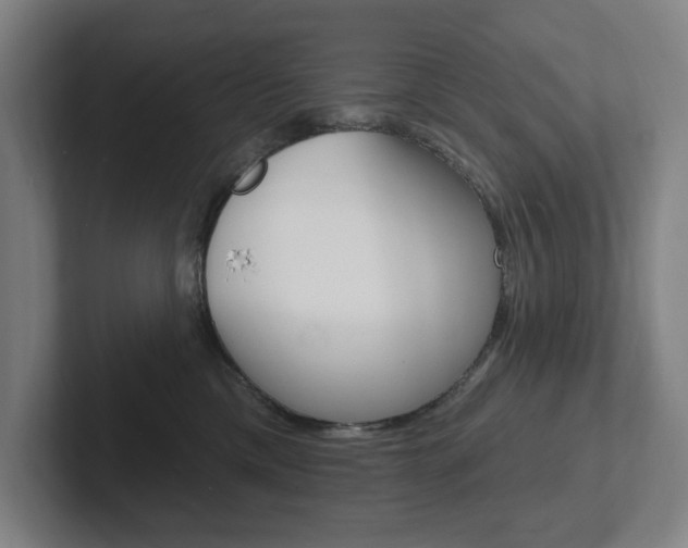 X0000102870425200808181049