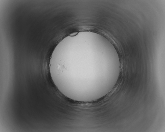 X0000102870426200808181049