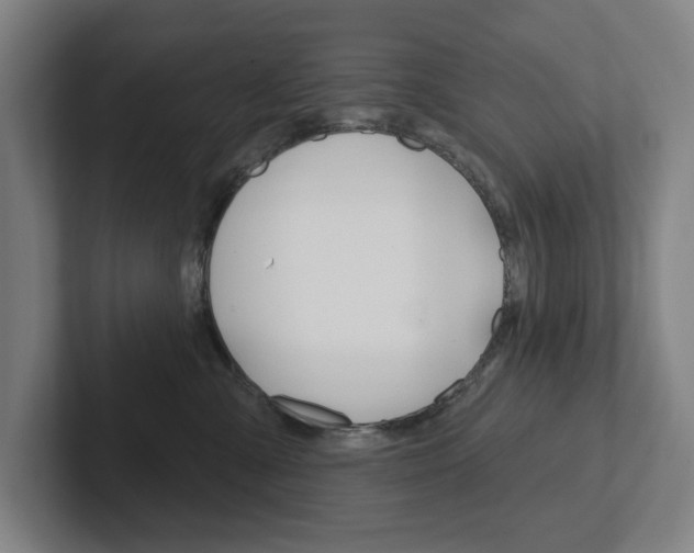 X0000102870427200808181049