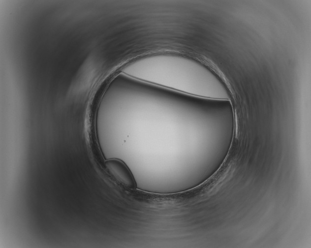 X0000102870435200808181049