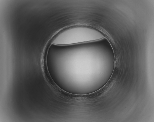 X0000102870436200808181049
