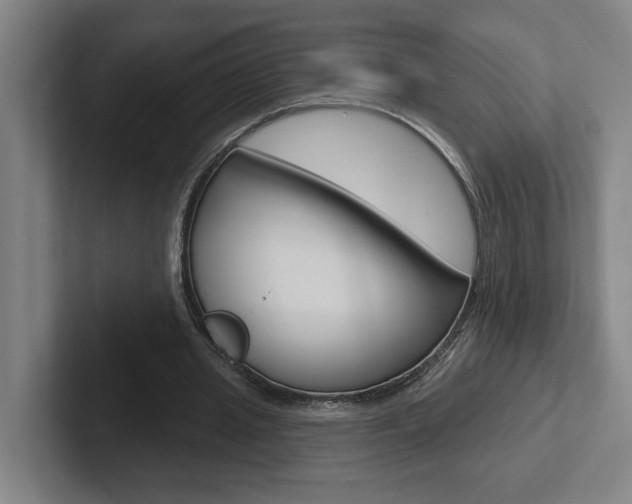 X0000102870437200808181049