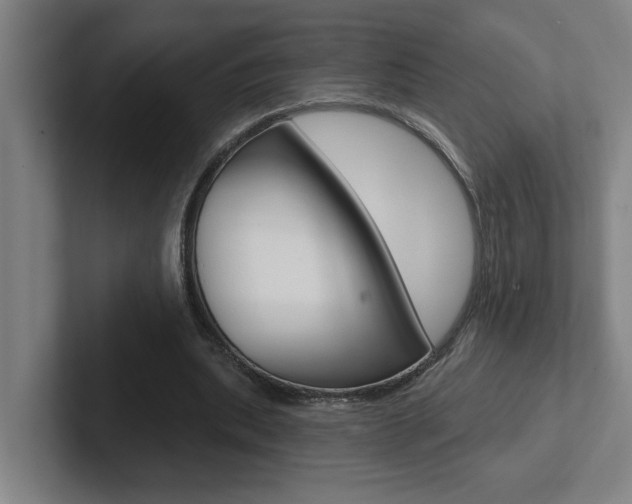 X0000102870439200808181049