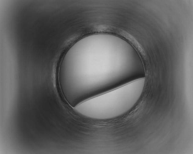 X0000102870442200808181049