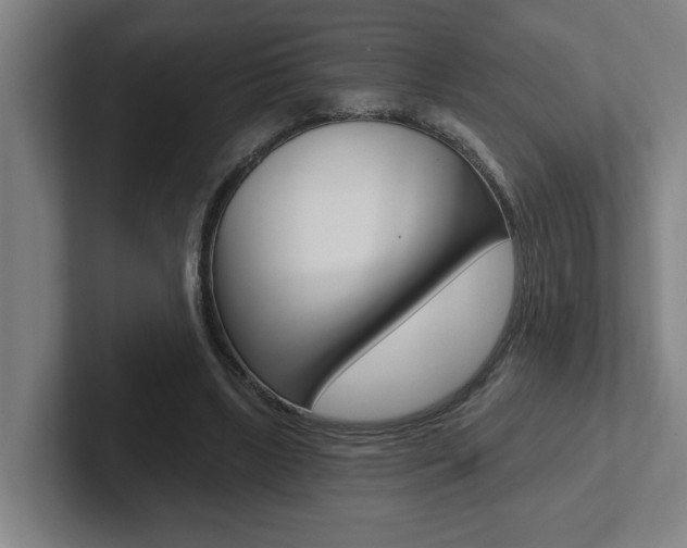 X0000102870443200808181049