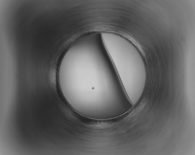 X0000102870445200808181049