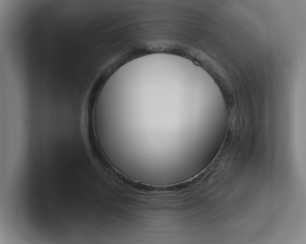X0000102870448200808181049