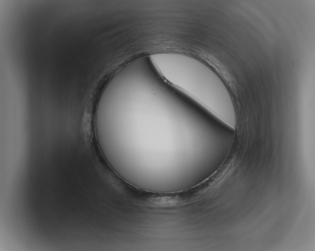 X0000102870449200808181049
