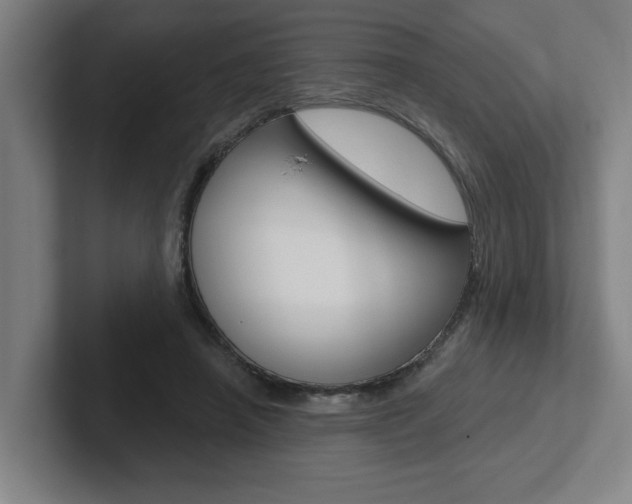 X0000102870450200808181049