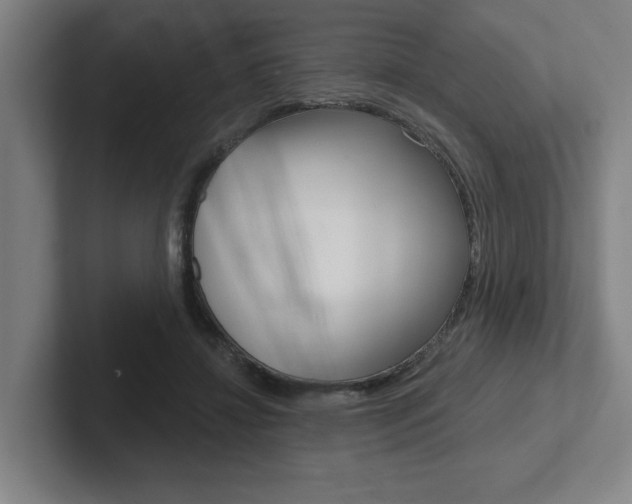 X0000102870452200808181049