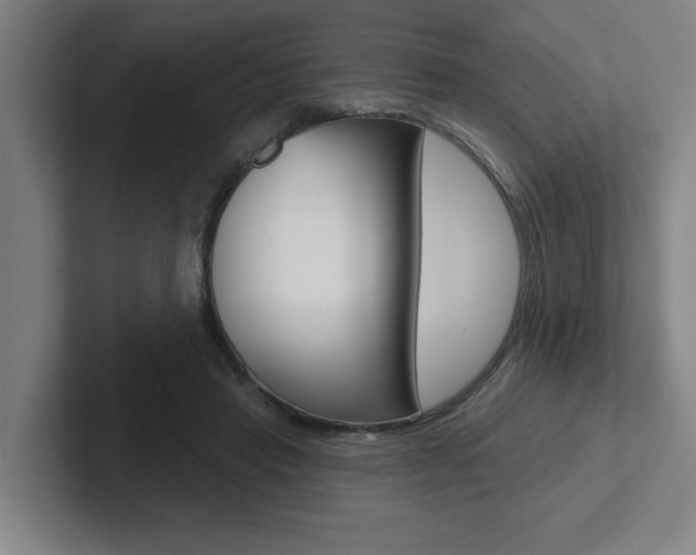 X0000102870453200808181049