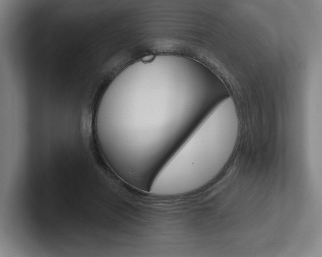 X0000102870454200808181049