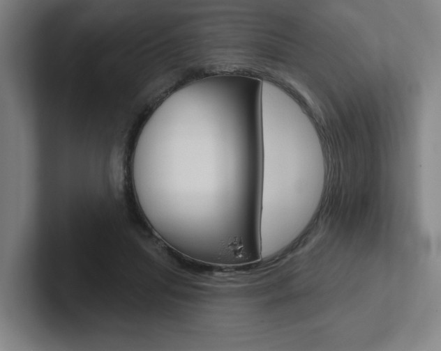X0000102870455200808181049