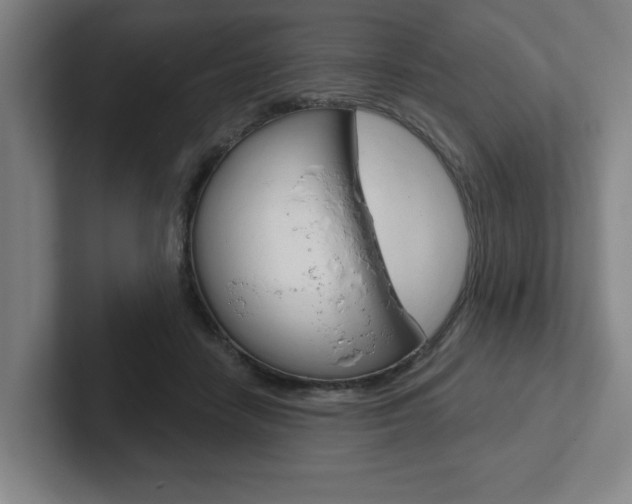 X0000102870458200808181049