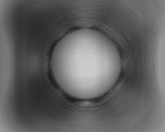 X0000102870460200808181049