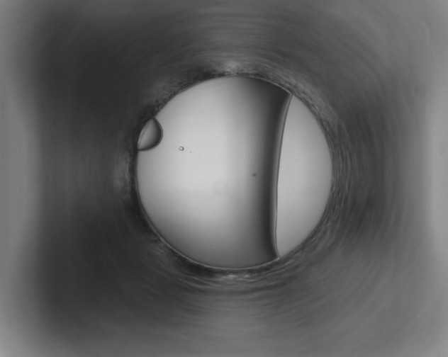 X0000102870461200808181049